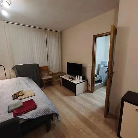 Apartmán In The Center 1 *